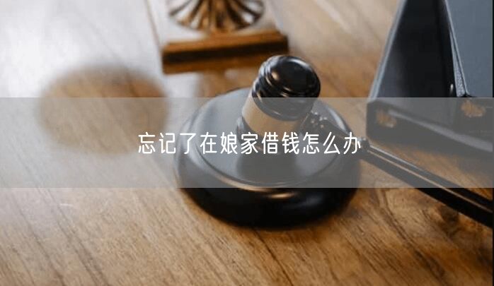 忘记了在娘家借钱怎么办