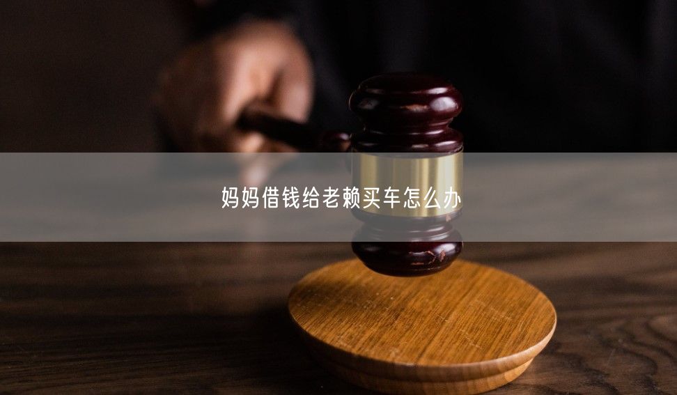 妈妈借钱给老赖买车怎么办