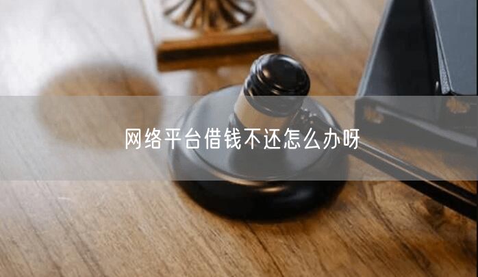 网络平台借钱不还怎么办呀