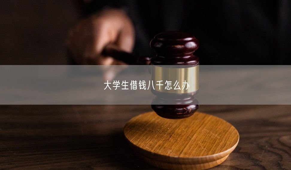 大学生借钱八千怎么办