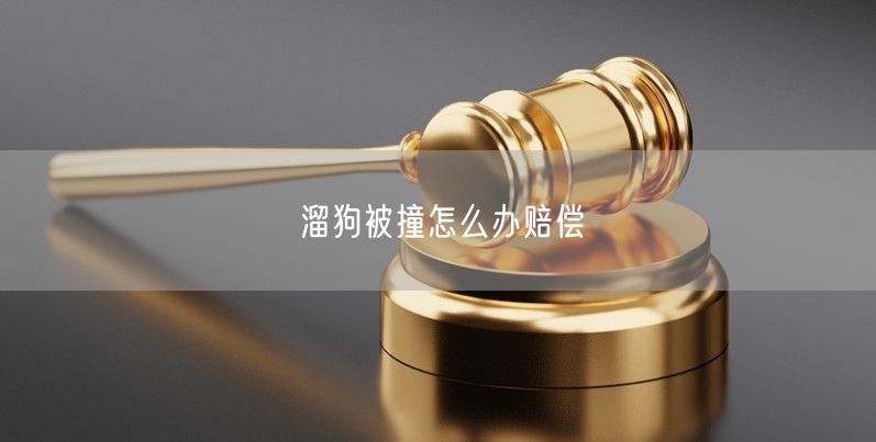 溜狗被撞怎么办赔偿